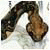 ALOpposevioro's Avatar
